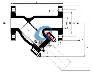 法兰式Y型过滤器 (结构尺寸图)